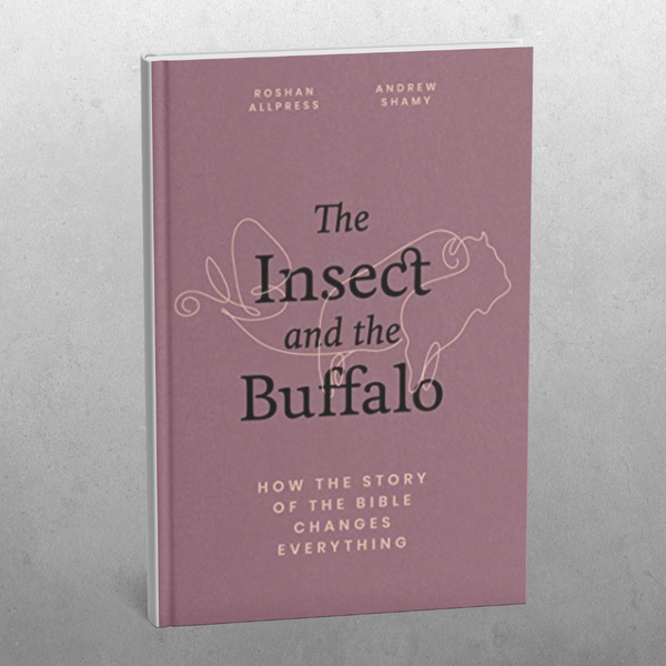 The Insect and the Buffalo; how the story of the Bible changes everything